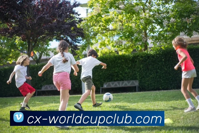 世界杯官方线上发展历程